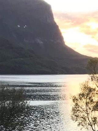 Villsauskinn i kveldssola 🌼 (bilde fra fornøyde skinn-kunder)